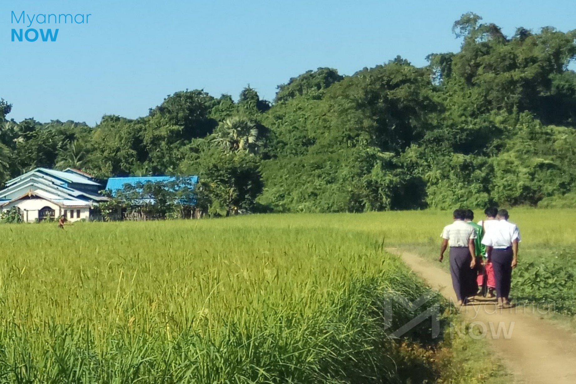 Strategies on Land Usage in Myanmar You Should know