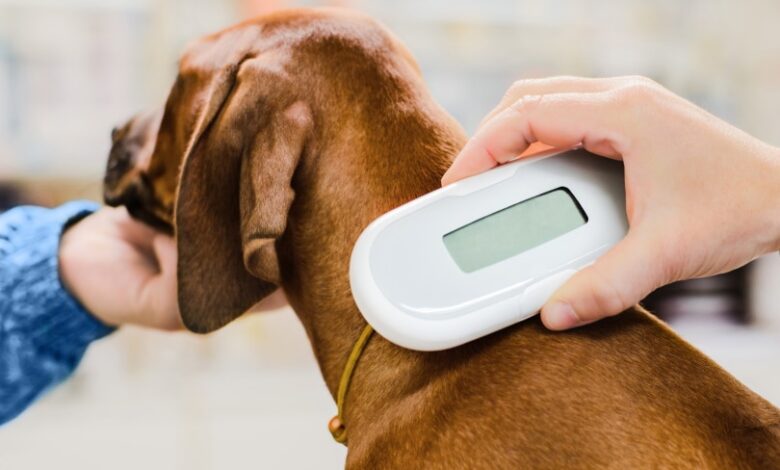 Animal Source Supports New Microchipping Guidelines