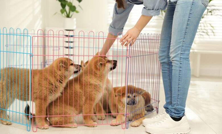 Is a Puppy Pen Useful Only in the Beginning?